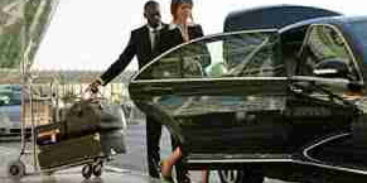Private Car Service Hyde Park to IAH
