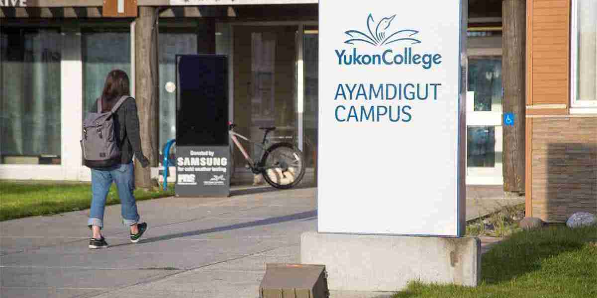 Yukon University: Top Graduate Programs You Should Know