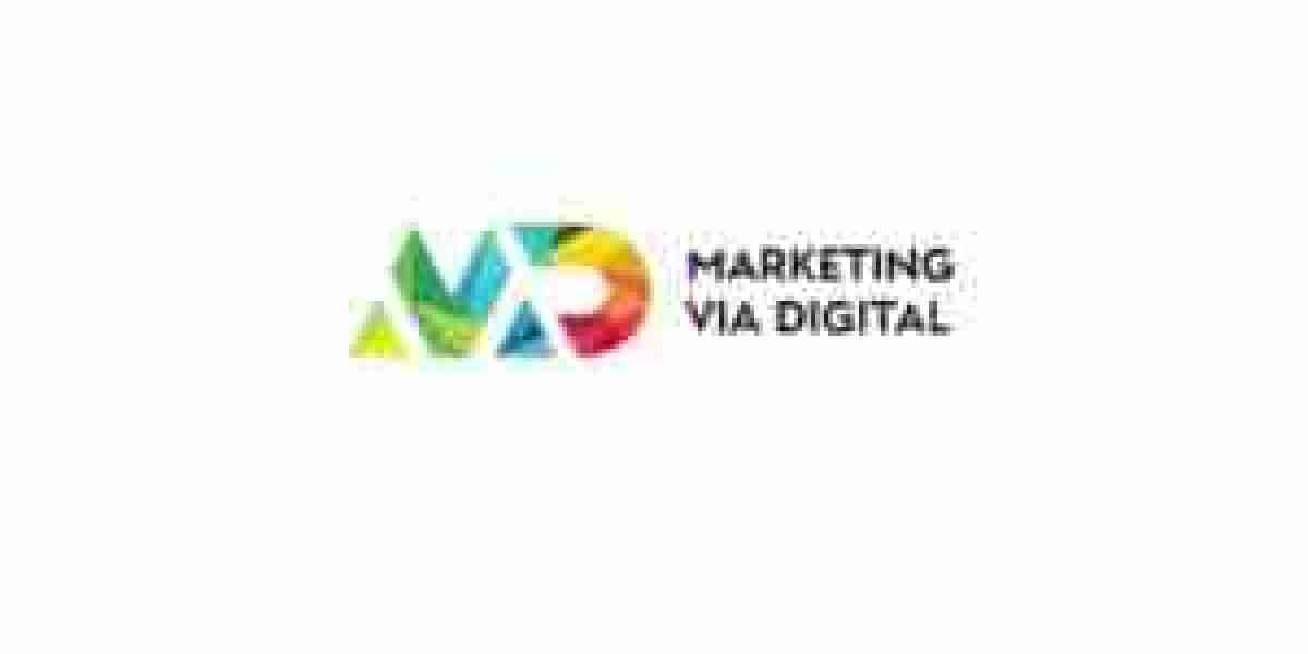 Top Website Development Agency in Delhi, NCR: Where Ideas Meet Execution
