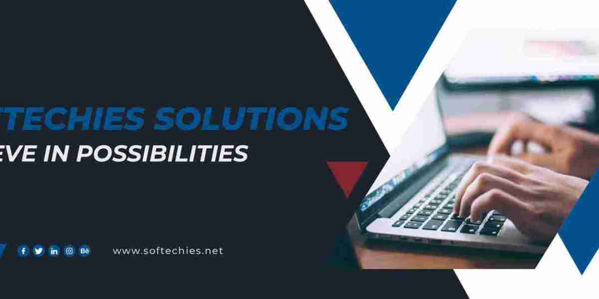 Partner with Experts | White Label Web Development Services for Digital Agencies