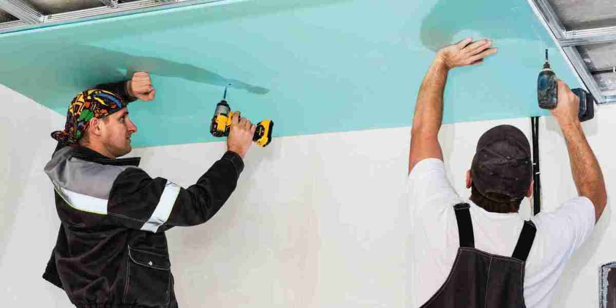 Elevate Your Home with Master Painters in Wellington and Auckland