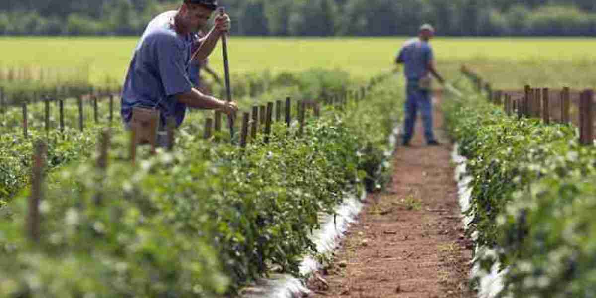 Strengthen Farm Productivity with Personalized Farming Advisory