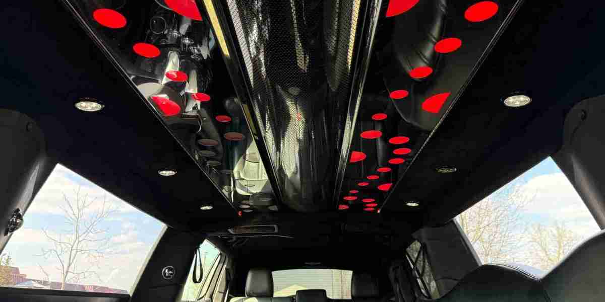 Party Bus Service in Hoffman Estates