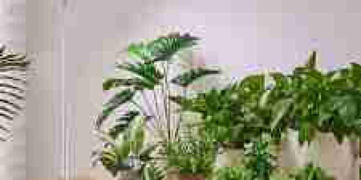 Yadoker LED Growing Lights Review: Are They Worth the Investment for Your Indoor Garden?