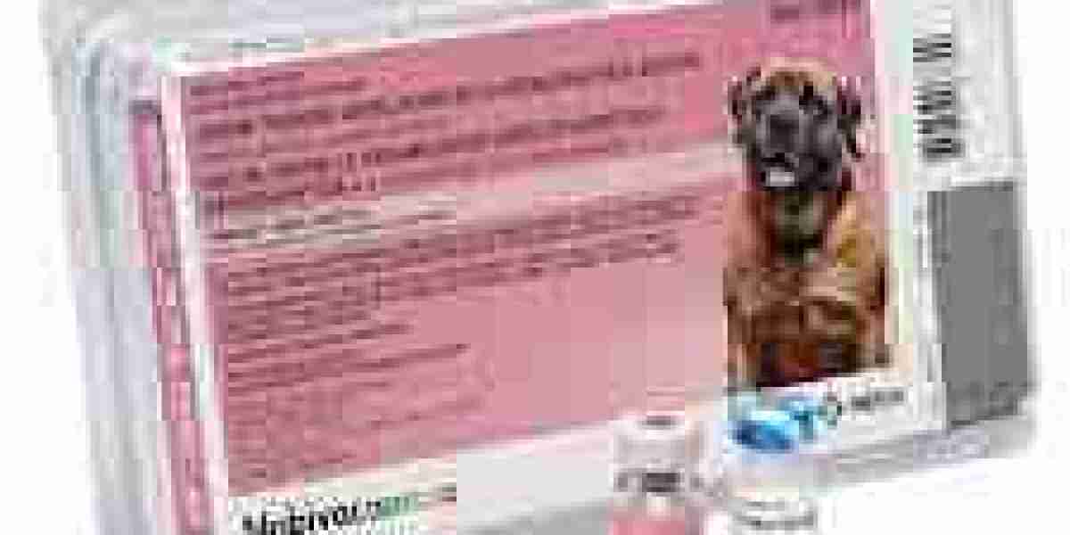 Parainfluenza Vaccine for Dogs: Why It's Essential for Your Pup’s Health