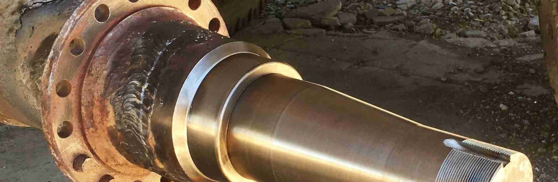 Axle Surgeons of California Inc Cover Image