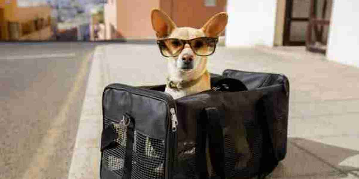 The Ultimate Guide to Choosing the Right Pet Carrier Bag for Your Furry Friend