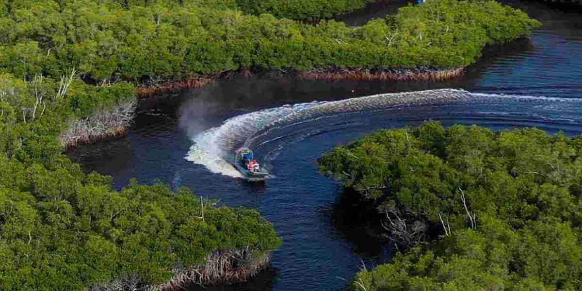 Everglades Tour