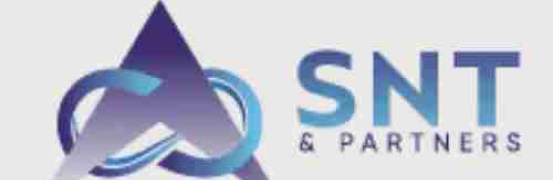 SNT Partners Cover Image