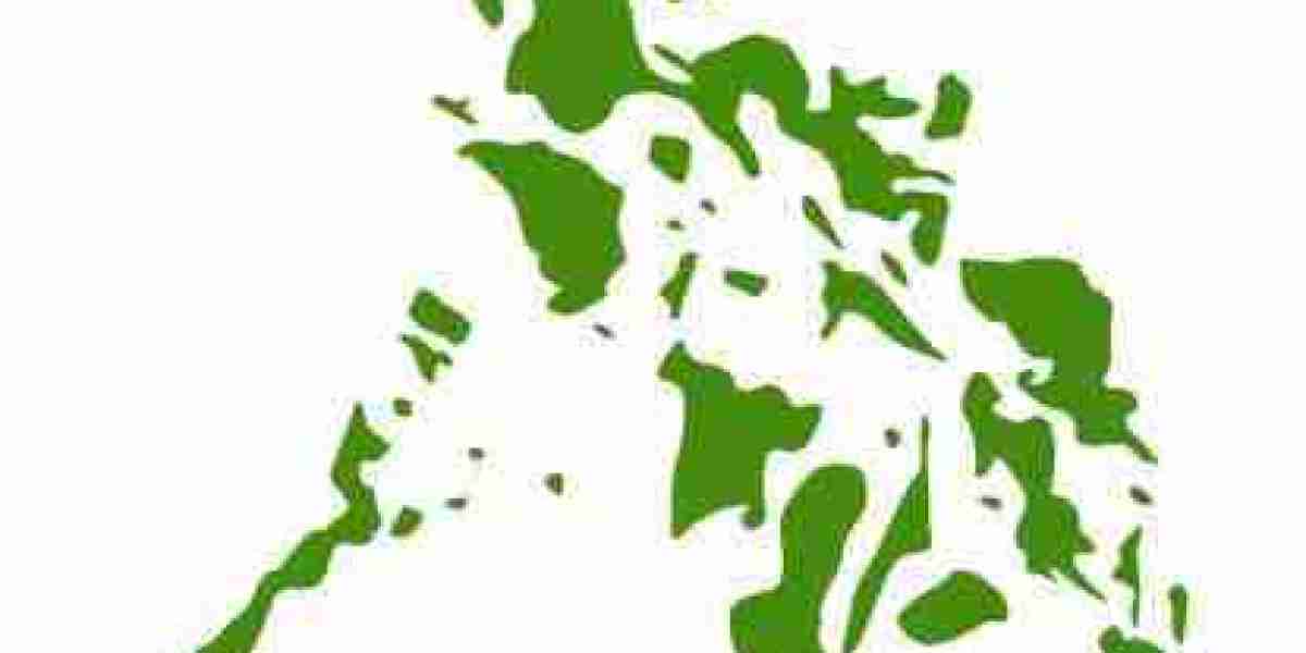 Philippines Import Data: A Comprehensive Guide for Global Traders